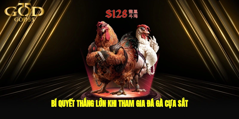 Bí quyết thắng lớn khi tham gia đá gà cựa sắt
