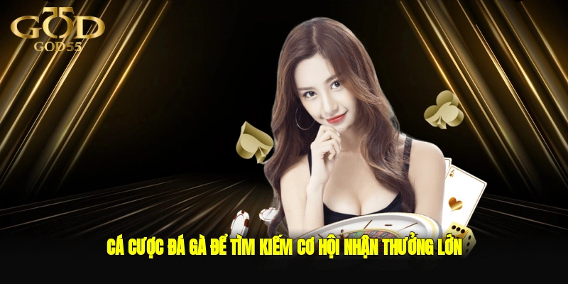Cá cược đá gà để tìm kiếm cơ hội nhận thưởng lớn