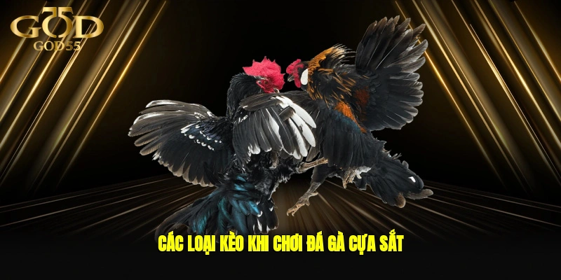 Các loại kèo khi chơi đá gà cựa sắt