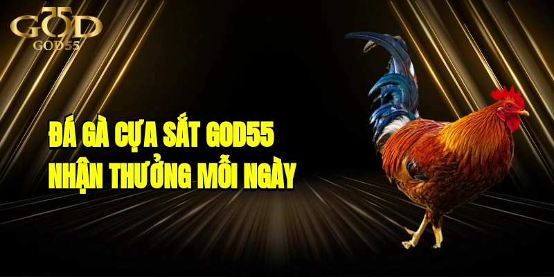 Đá Gà Cựa Sắt GOD55 - Kịch Tính, Nhận Thưởng Lớn Mỗi Ngày