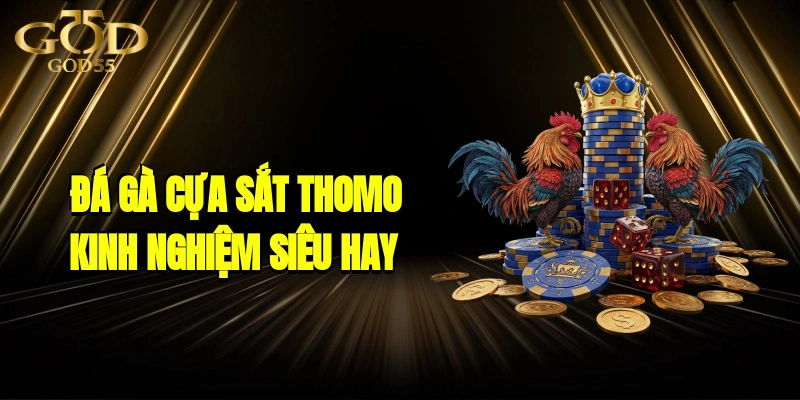 Đá Gà Cựa Sắt Thomo - Kinh Nghiệm Siêu Hay Từ Cao Thủ