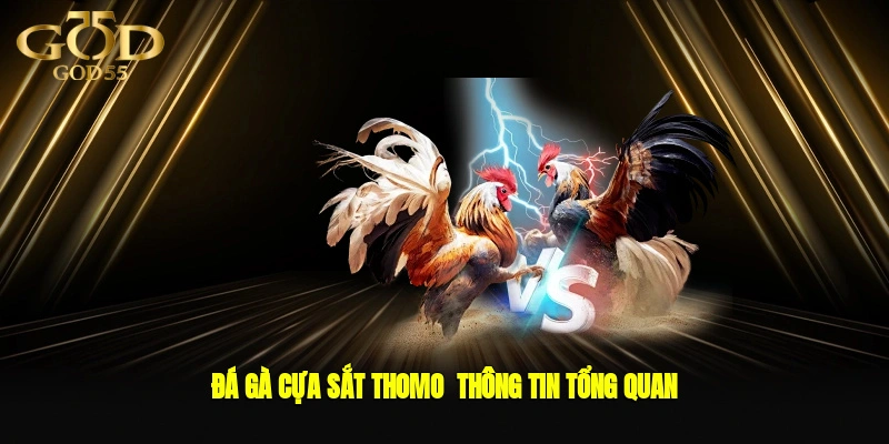 Đá gà cựa sắt Thomo - Thông tin tổng quan