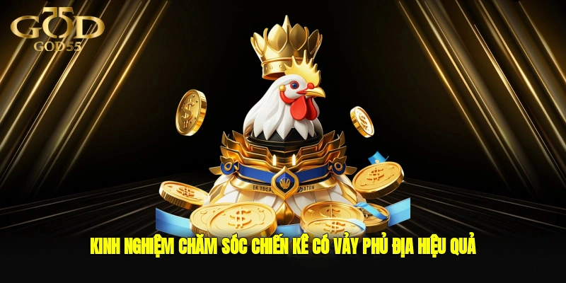 Kinh nghiệm chăm sóc chiến kê có vảy phủ địa hiệu quả