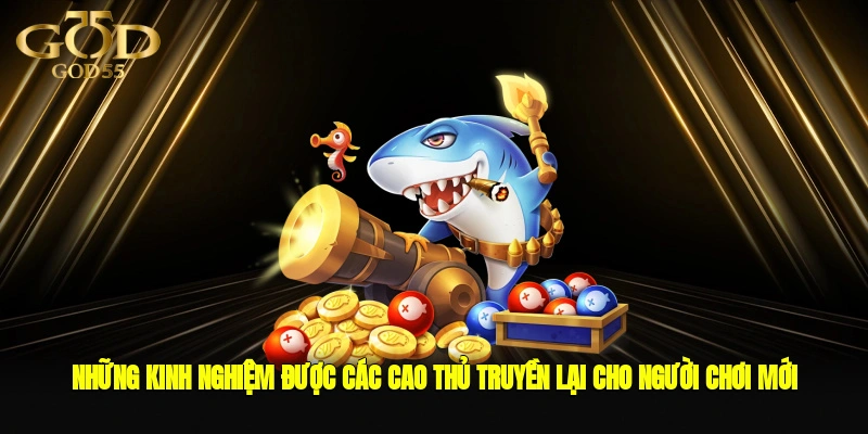 Những kinh nghiệm được các cao thủ truyền lại cho người chơi mới