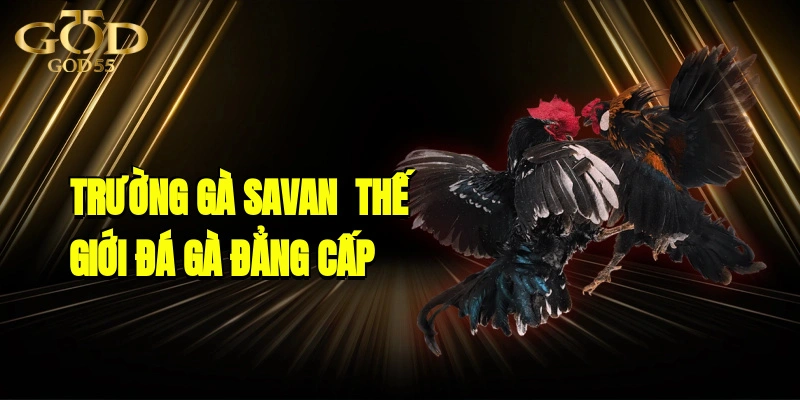 Trường Gà Savan - Thế Giới Giải Trí Cá Cược Đá Gà Đẳng Cấp