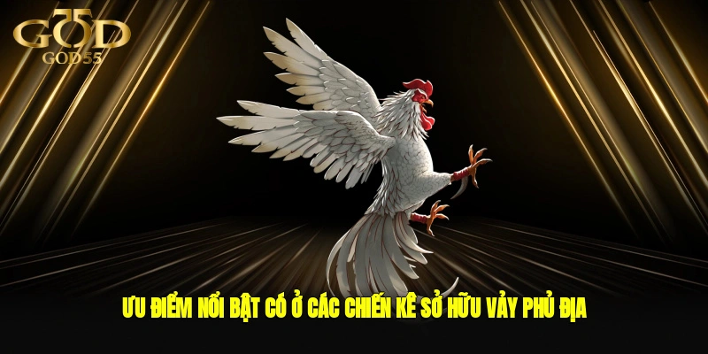 Ưu điểm nổi bật có ở các chiến kê sở hữu vảy phủ địa