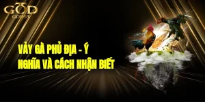 Vảy Gà Phủ Địa – Ý Nghĩa Và Cách Nhận Biết Chuẩn 2025