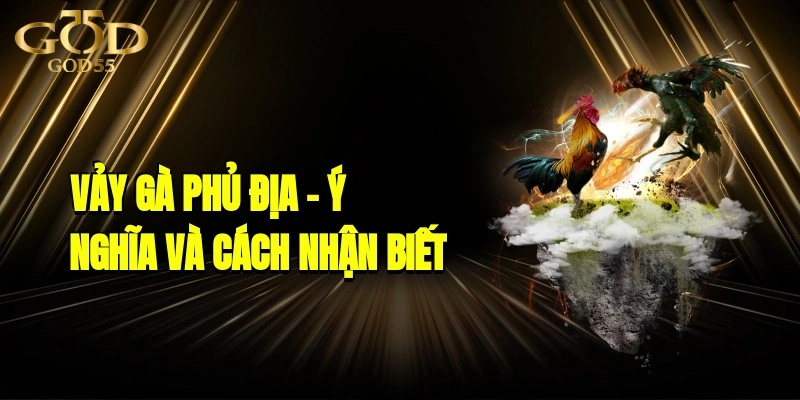 Vảy Gà Phủ Địa – Ý Nghĩa Và Cách Nhận Biết Chuẩn 2025